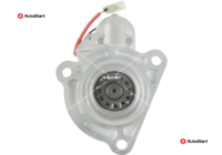 S01231(SEG)