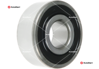 ABE9022(SKF)