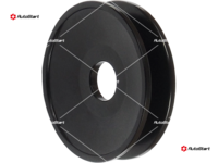AP1001