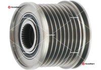 AFP0049(V)