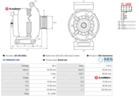 A01281(SEG)