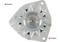 A01135(SEG)