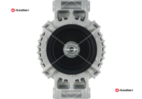 A01338(SEG)