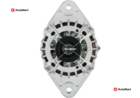 A01133(SEG)