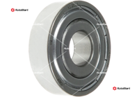 ABE9231(SKF)