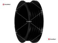 AP4007