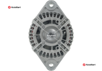 A01081(SEG)
