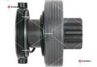 SD0129(SEG)