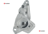 S01184(SEG)
